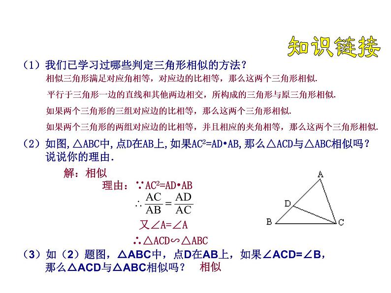 相似判定第一课时课件PPT第3页