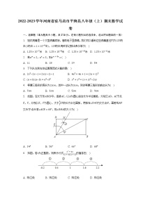 2022-2023学年河南省驻马店市平舆县八年级（上）期末数学试卷（含解析）