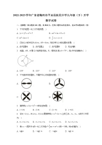 2022-2023学年广东省梅州市平远县铁民中学九年级（下）开学数学试卷（含解析）