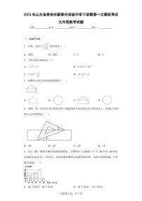 2023年山东省泰安市新泰市实验中学下学期第一次模拟考试九年级数学试题