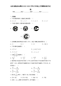 山东省临沂市费县2022-2023学年八年级上学期期末数学试题（含详细答案）