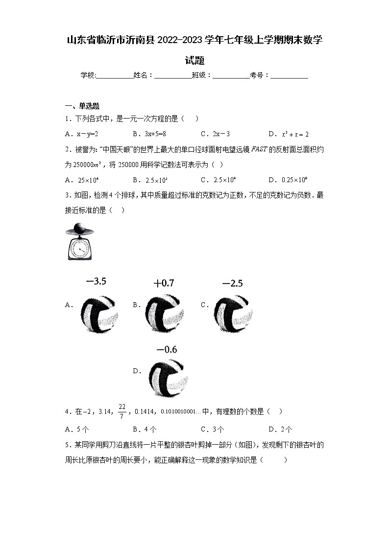 山东省临沂市沂南县2022-2023学年七年级上学期期末数学试题（含详细答案）01