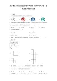 江苏省苏州高新区实验初级中学2022-2023学年九年级下学期数学开学测试试题