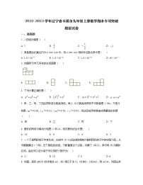 2022-2023学年辽宁省本溪市九年级上册数学期末专项突破模拟试卷（含解析）