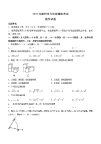 2023年河北省唐山市滦州市九年级摸底考试数学试题（含答案）