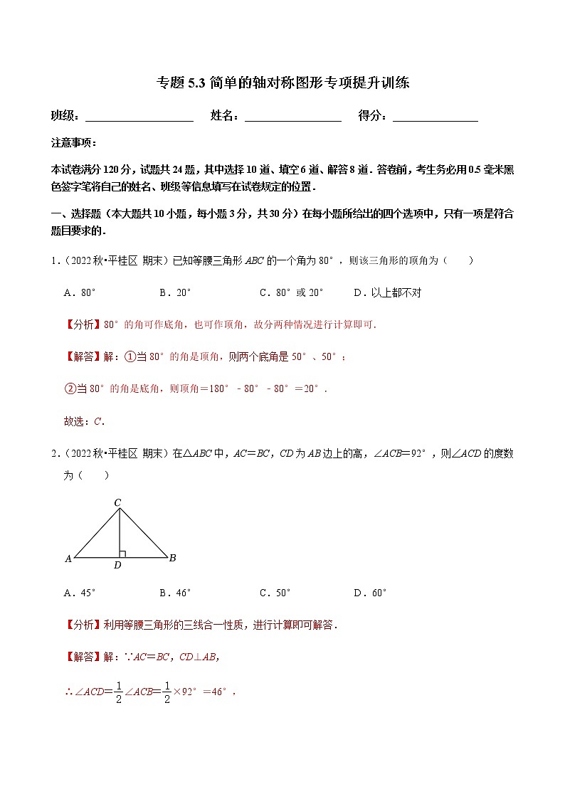 专题5.3简单的轴对称图形专项提升训练（解析版）第1页