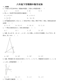 福建省漳州市漳浦县2023年八年级下学期期中数学试卷【含答案】