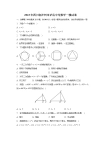 2023年四川省泸州市泸县中考数学一模试卷（含解析）