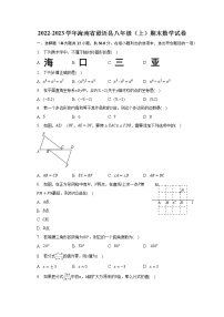 2022-2023学年海南省澄迈县八年级（上）期末数学试卷（含解析）