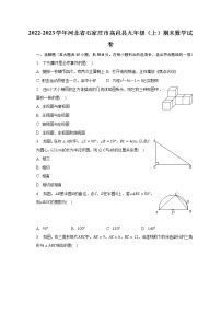 2022-2023学年河北省石家庄市高邑县九年级（上）期末数学试卷（含解析）