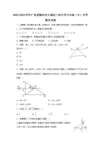 2022-2023学年广东省梅州市大埔县三河中学八年级（下）开学数学试卷（含解析）