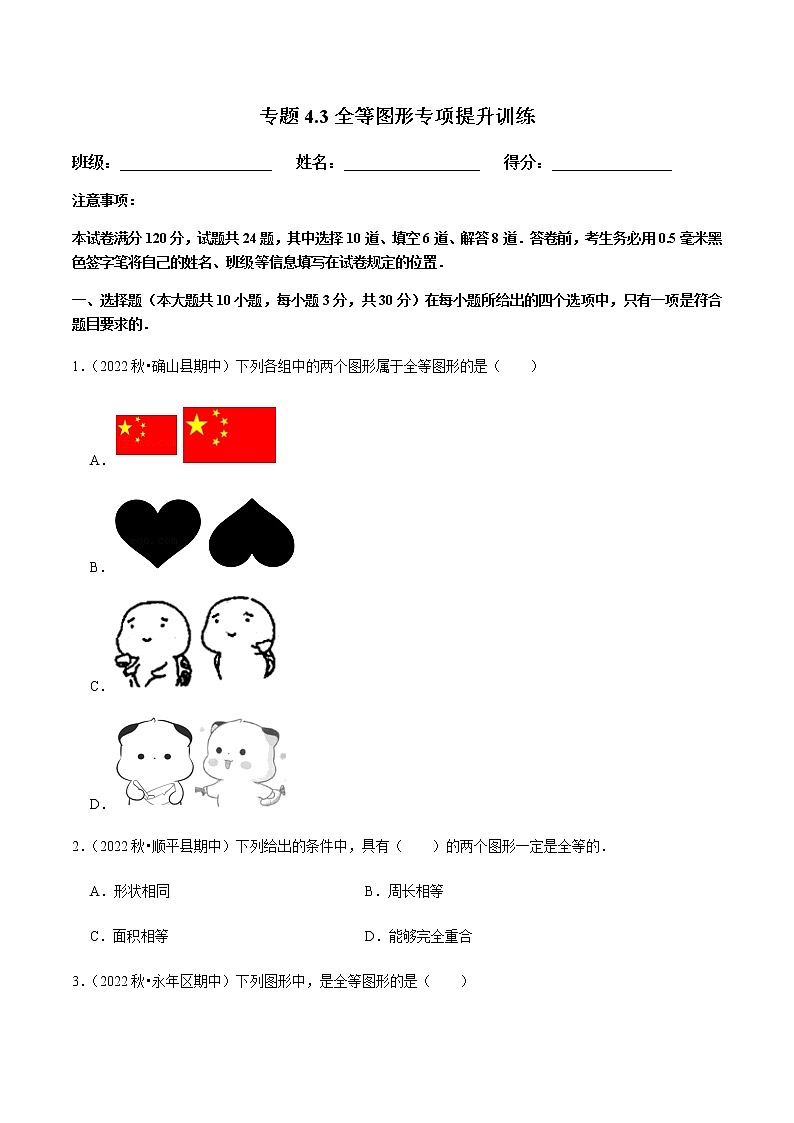 专题4.3全等图形专项提升训练（原卷版）第1页