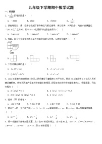 安徽省滁州市定远县2023年九年级下学期期中数学试题【含答案】