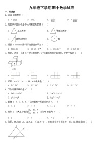 广西壮族自治区百色市2023年九年级下学期期中数学试卷【含答案】