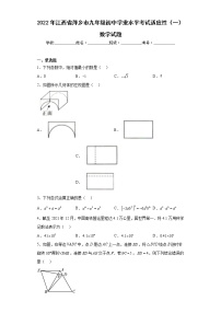 2022年江西省萍乡市九年级初中学业水平考试适应性（一）数学试题（含答案）