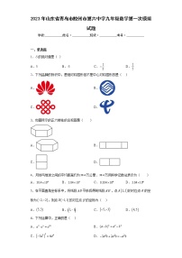 2023年山东省青岛市胶州市第六中学九年级数学第一次模拟试题（含详细答案）