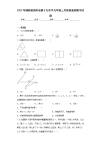 2023年湖南省岳阳市第十九中学九年级三月质量监测数学试题（含详细答案）