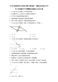 04平行线的判定与性质（选择、填空题）-【期末】上海市2022年七年级数学下学期期末试题核心考点汇编