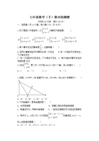 泰安市泰山学院附属中学鲁教版七年级数学（下）期末检测题