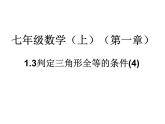 鲁教版七年级上册数学1.3探索三角形全等的条件（4）课件PPT