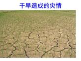 魯教版七年級上冊數(shù)學(xué)6.5_一次函數(shù)的應(yīng)用(1)課件PPT
