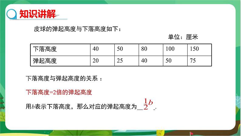 华东师大数学七上 3.1.1用字母表示数 PPT课件+教案04