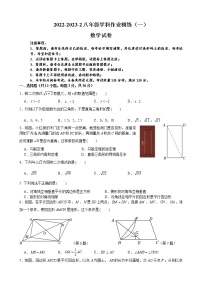 湖南省长沙市2022-2023郡维数学八下第一次月考试卷（无答案）