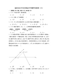 备战2023年江苏南京中考数学仿真卷（八）