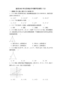 备战2023年江苏南京中考数学仿真卷（七）