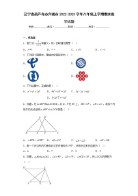 辽宁省葫芦岛市兴城市2022-2023学年八年级上学期期末数学试题（含答案）