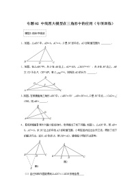 专题02 中线四大模型在三角形中的应用（专项训练）-备战中考数学《重难点解读•专项训练》（全国通用）