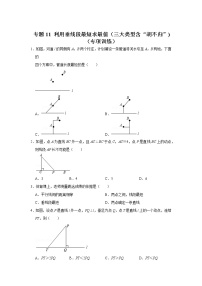 专题11 利用垂线段最短求最值（三大类型含“胡不归”)（专项训练）-备战中考数学《重难点解读•专项训练》（全国通用）