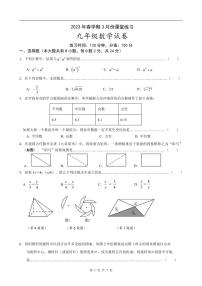 江苏省盐城市盐都区2022-2023学年九年级下学期第一次月考数学试卷