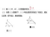 初中数学一轮复习培优微课 “手拉手”模型——相似 模型探究系列课件PPT