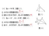 初中数学一轮复习培优微课 “手拉手”模型——相似 模型探究系列课件PPT