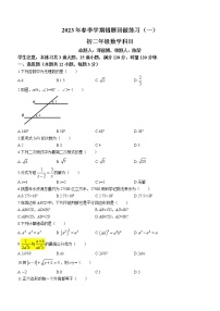 湖南省长沙市雅礼集团2022-2023学年八年级下学期第一次月考数学试题(含答案)