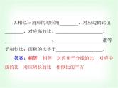中考数学总复习第四章第19课时图形的相似课件
