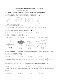 江苏省扬州市宝应县开发区国际学校2022-2023学年七年级下学期3月阶段纠错练习数学试卷（含答案）