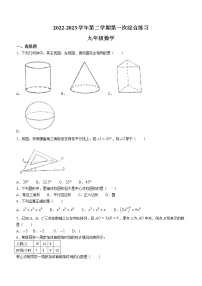 2023年福建省南平市光泽县九年级下学期第一次综合练习数学试题（含答案）