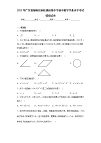 2023年广东省郁南县宋桂镇初级中学初中数学学业水平考试模拟试卷（含答案）