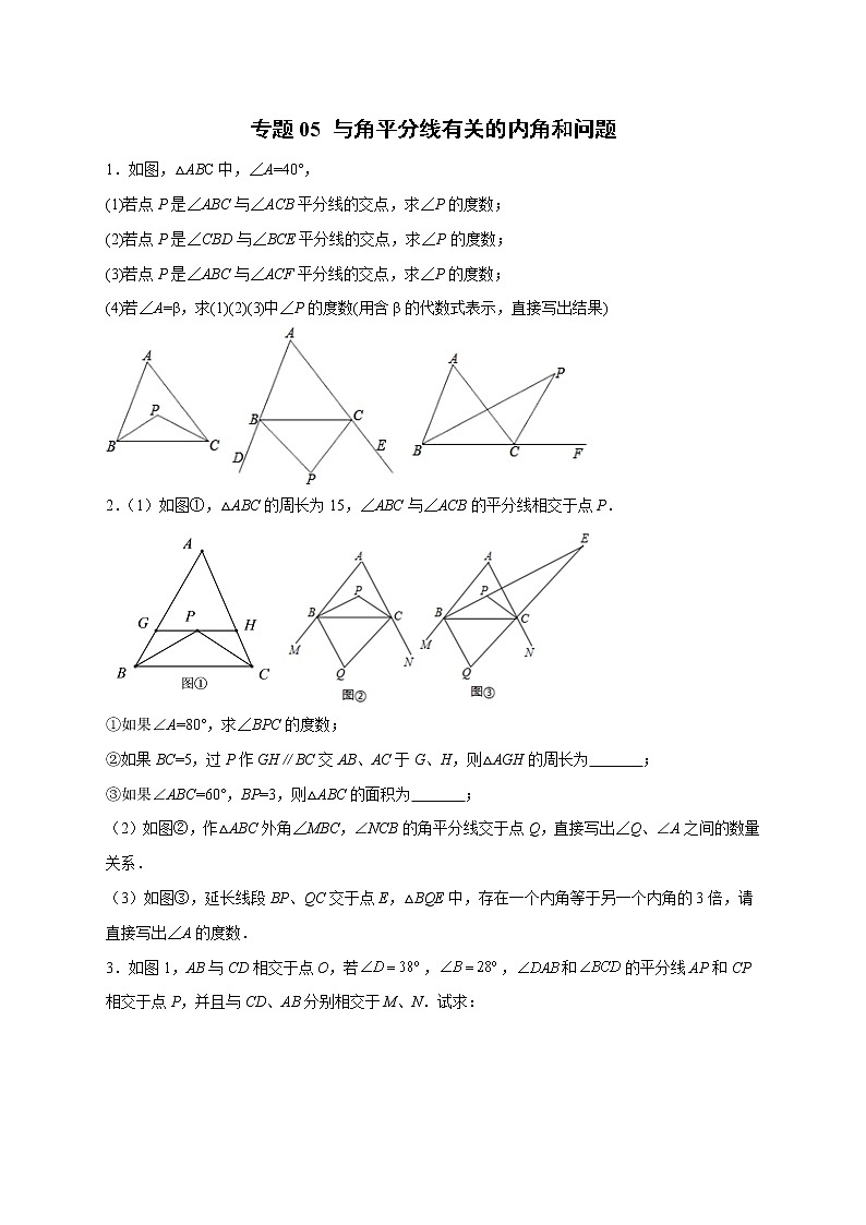 专题05 与角平分线有关的内角和问题-八年级数学上册常考点微专题提分精练（浙教版）01
