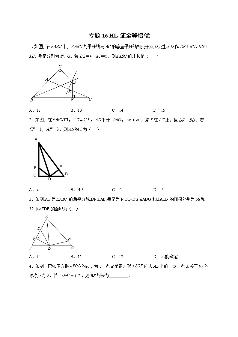 专题16 HL证全等培优（原卷版）第1页