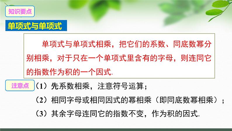 第9章 整式乘法与因式分解复习（1）苏科版七年级数学下册课件第5页