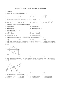 精品解析：广东湛江经济技术开发区第四中学2021-2022学年八年级下学期数学期中试题