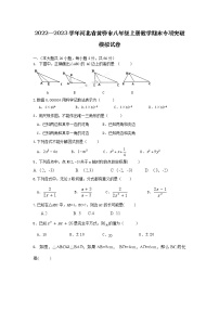 2022—2023学年河北省黄骅市八年级上册数学期末专项突破模拟试卷