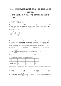 2022—2023学年河南省鹤壁市八年级上册数学期末专项提升模拟试卷（含解析）