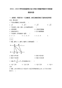 2022—2023学年河南省周口市八年级下册数学期中专项突破模拟试卷（含解析）