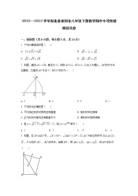 2022—2023学年湖北省黄冈市八年级下册数学期中专项突破模拟试卷（含解析）