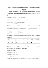 2022—2023学年湖北省襄阳市八年级下册数学期末专项提升模拟试卷（含解析）