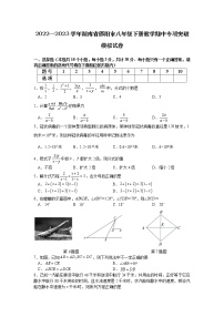 2022—2023学年湖南省邵阳市八年级下册数学期中专项突破模拟试卷（含解析）